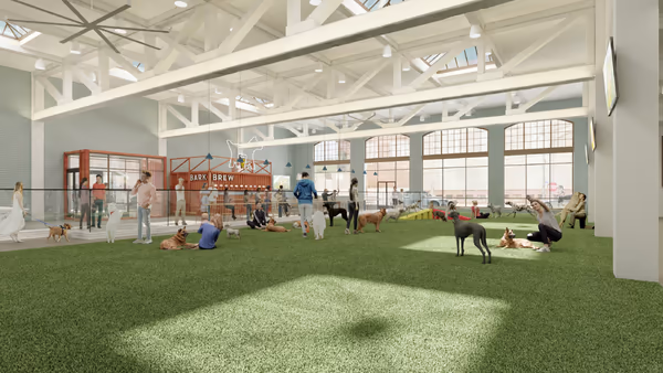 The Indoor Dog Park photo 1